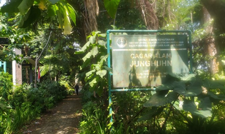 PROSES PENGAJUAN: Disparbud KBB akan mengajukan Taman Makam Junghuhn sebagai Cagar Budaya Tingkat Kabupaten. (Akmal Firmansyah/Jabar Ekspres)