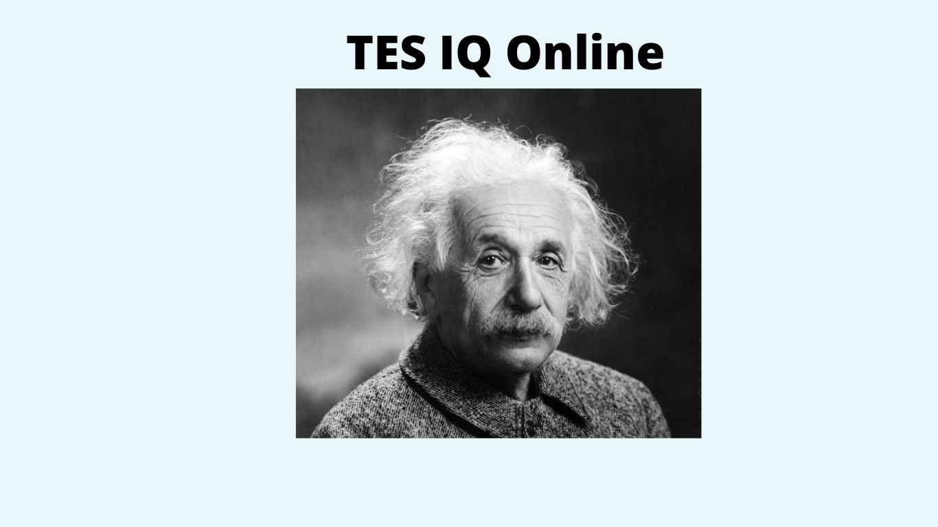 TES IQ Gratis! Coba Apakah IQ-mu Setara Einstein?