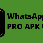 Link Download WA GB Pro APK Latest Update Februari 2023 dengan 10 Fitur Spesial!