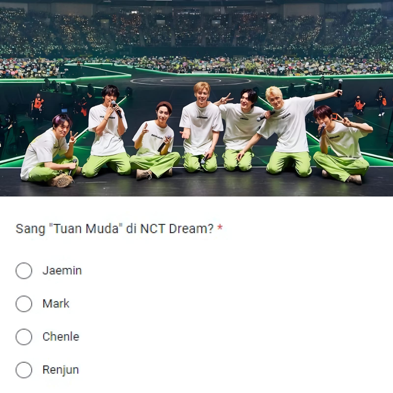 Tangkapan Layar Ujian Fans NCT Dream 2023 via Google Form
