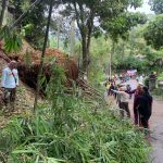 Longsor di Curug Pelangi Cimahi, Gumpalan Pohon Bambu Tutupi Jalan Kolen Masturi