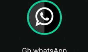 Download WA GB Apk V12.85 WhatsApp Pro, Makin Banyak Fitur Menarik! Cek Di Sini Gratis