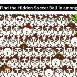 Tes IQ Gambar: Coba Temukan Bola Sepak yang Tersembunyi di Antara Panda