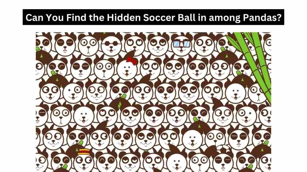 Tes IQ Gambar: Coba Temukan Bola Sepak yang Tersembunyi di Antara Panda