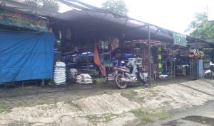 Suasana sepi pembeli di Depo Ikan Hias Cikaret, Kabupaten Bogor, Jumat (24/2). (Sandika Fadilah/Jabarekspres.com)