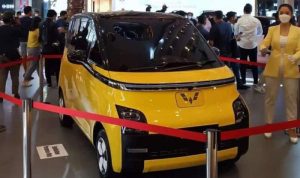 Berdasarkan temuan Ombusman, kendaraan listrik di Indonesia sampai saat ini masih sepi peminat. Meski pemerintah berencana berikan insentif.
