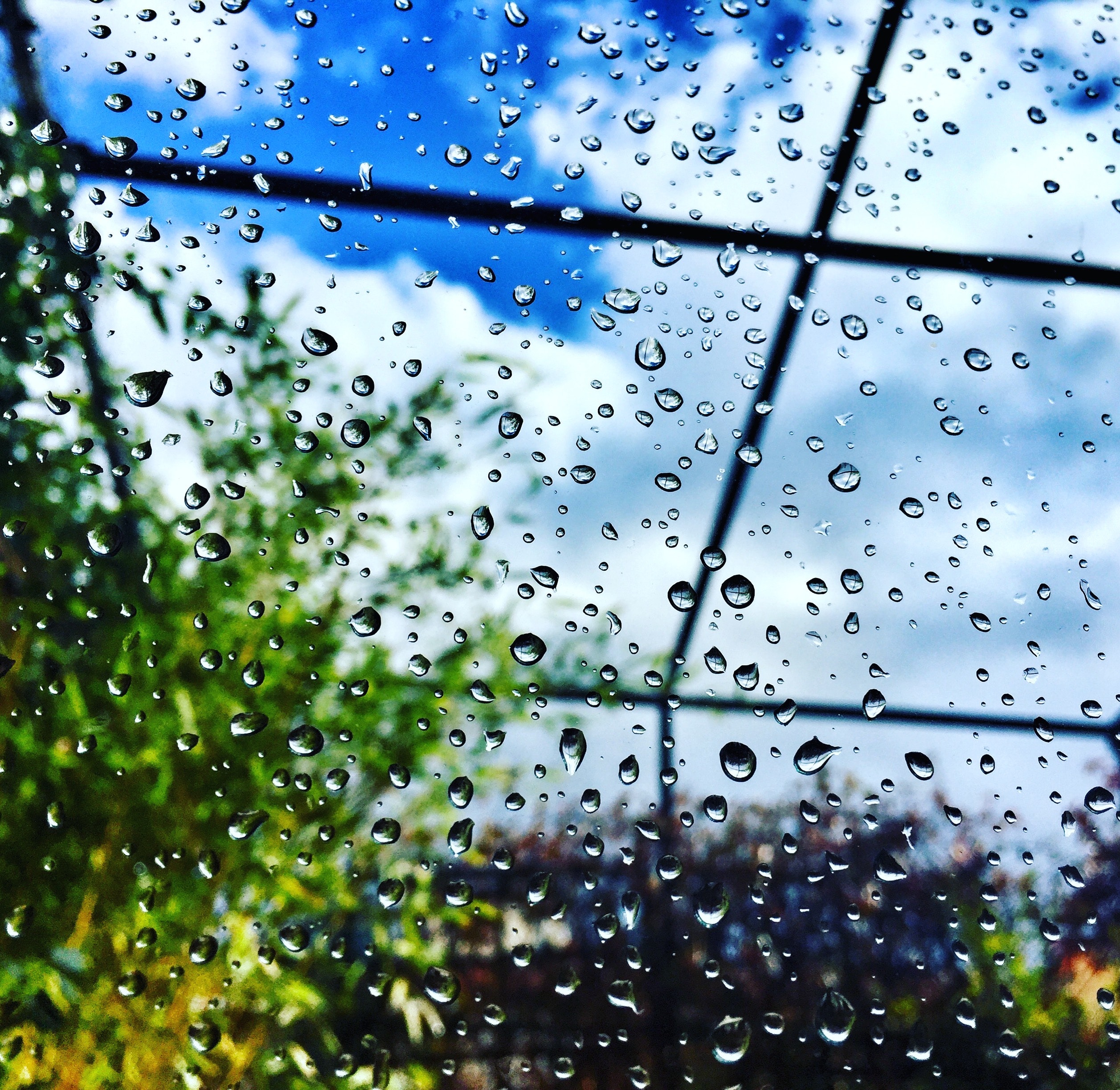 Окно в дождевых каплях. Капли дождя. Капли на стекле. Дождь на стекле. Обои дождь.