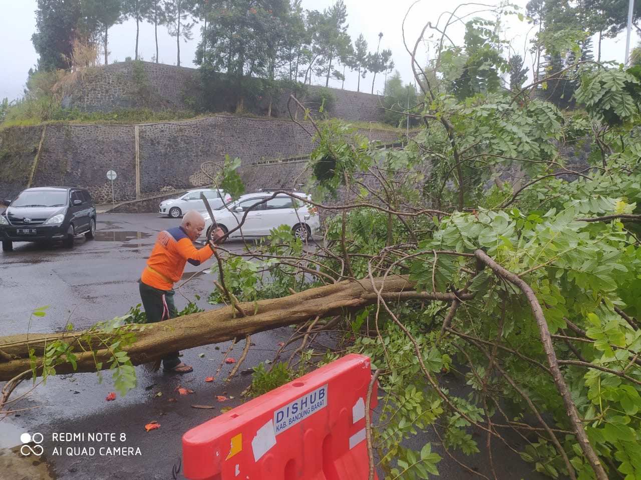 Hujan Angin Tumbangkan Pohon Setinggi 15 Meter di Kantor Bupati Bandung Barat