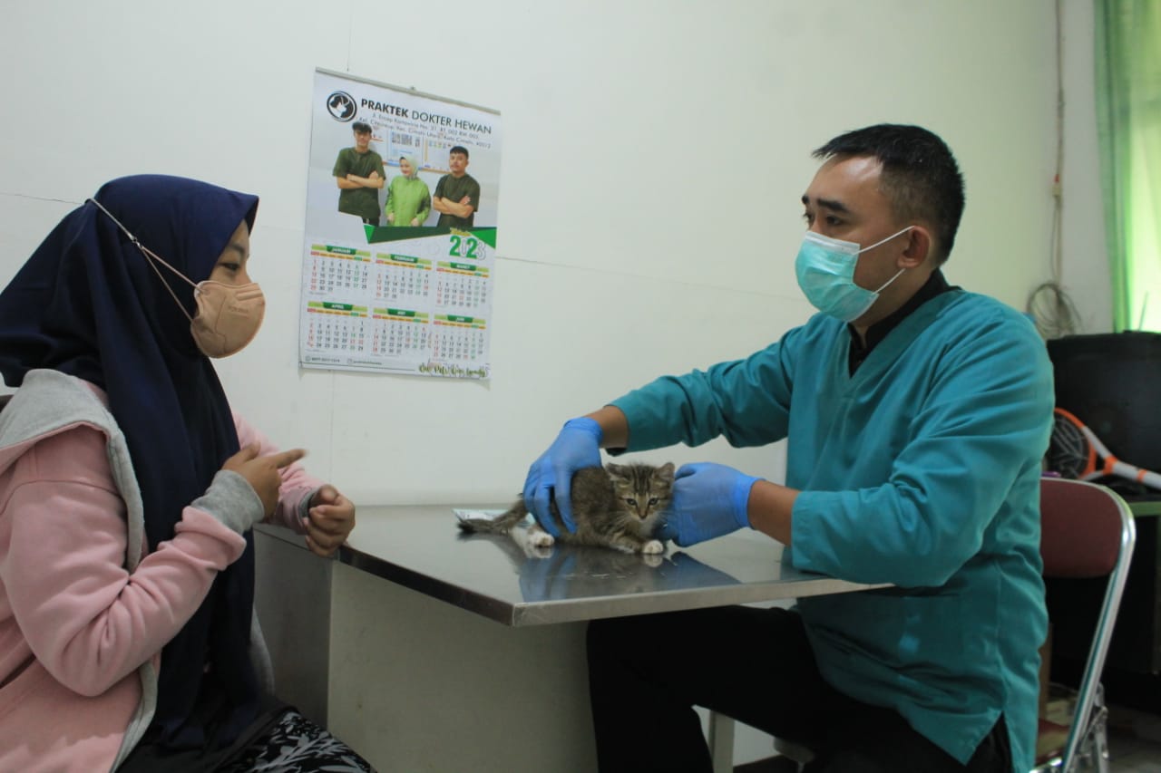 PENCEGAHAN: drh. Dani Wangsit Narendra (kanan) saat memeriksa kucing milik warga di UPTD Klinik Hewan Kota Bandung. Banyak warga mengeluhkan flu kucing. (HENDRIK MUCHLISON/JABAR EKSPRES)