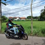 LUMBUNG PADI : Lahan sawah di Kota Bandung. Produksi padi Jawa Barat selama 2022 masih tinggi. (Hendrik Muchlison)