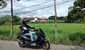 LUMBUNG PADI : Lahan sawah di Kota Bandung. Produksi padi Jawa Barat selama 2022 masih tinggi. (Hendrik Muchlison)