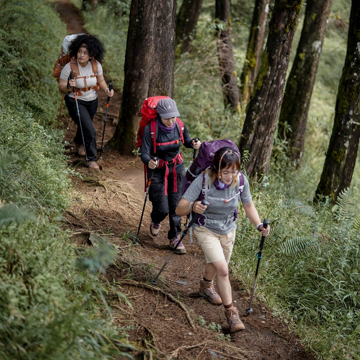 Pendaki gunung