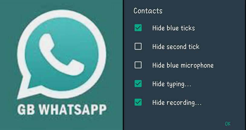 Download WA GB WhatsApp Pro Apk v18.75 Clone Terbaru, Cepetan Makin Banyak Fitur Menarik Lho!