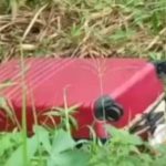 Pembunuhan sadis terjadi di Kecamatan Tenjo, Kabupaten Bogor. Mayat korban ditemukan di dalam koper merah dalam keadaan di mutilasi.