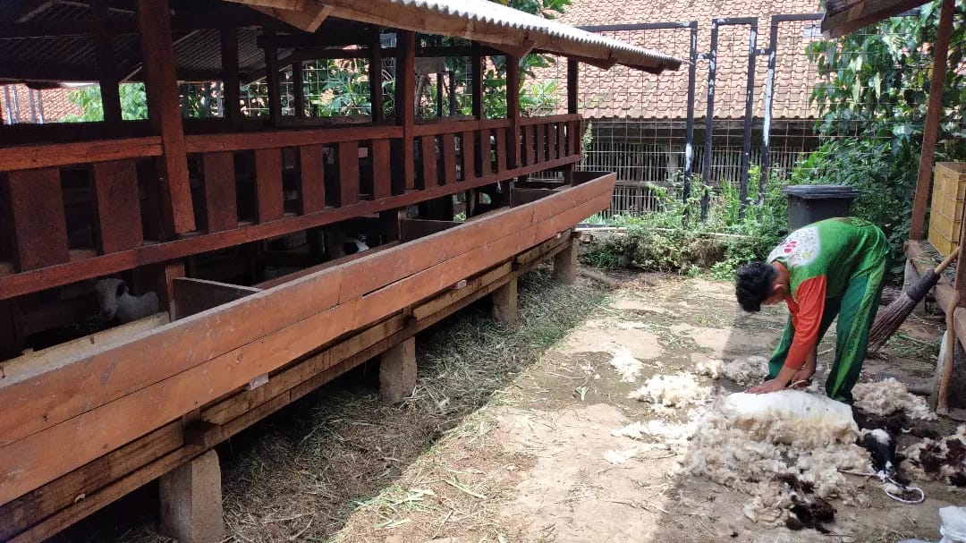 BELUM DIBUKA: Pemandangan di Sein Farm saat dilihat dari roof top. (HENDRIK MUCHLISON/JABAR EKSPRES)