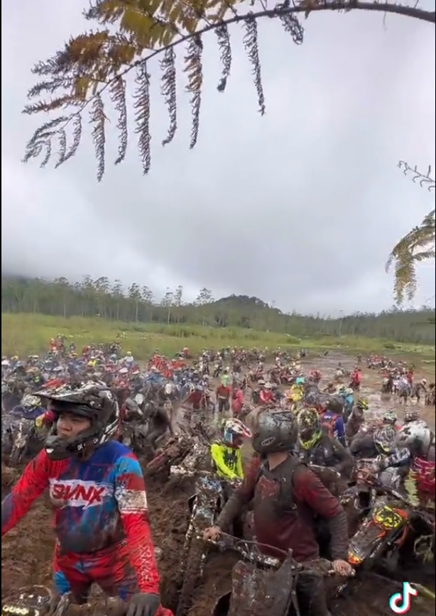 Viral! Komunitas Motor Trail Rusak Lahan Bunga Edelweis Rawa di Ranca Upas, Pelestari Paham Gak Kalian