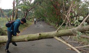 Pohon tumbang di Jl. Terusan Sekejati, Kota Bandung. Sabtu (25/3). Foto. Sandi Nugraha.