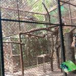 Salah satu kandang unggas di Kebun Binatang Bandung. Kini, arena hewan peliharaan itu bebas dari flu burung. (SANDI NUGRAHA/JABAR EKSPRES)