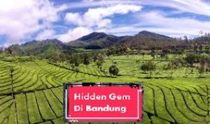 Hidden Gem Bandung