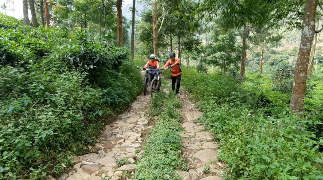 Peristiwa Motor Trail Rancaupas Pengaruhi Aktivitas di Hutan KBU