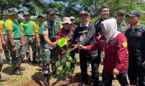Cegah Longsor dan Udara Sehat, Pemprov Kejar Target 100 Juta Penanaman Pohon