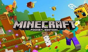 Minecraft Skins V1.9.73 Terbaru Gratis, Banyak Fitur Menarik Di Sini