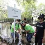 Elnusa Greening Action, Planting 4,490 Mangrove Seedlings on 40 Hectares of Land