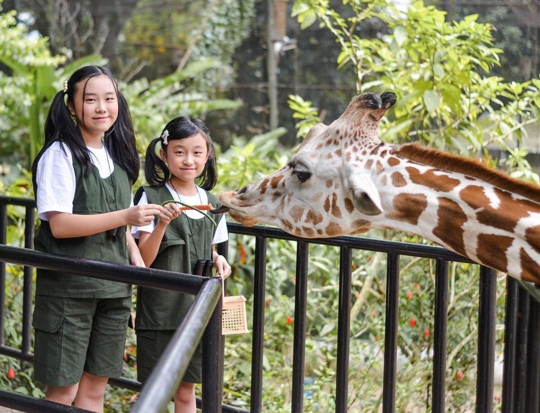 Sambut Libur Lebaran, Bandung Zoo Hadirkan Fasilitas Baru