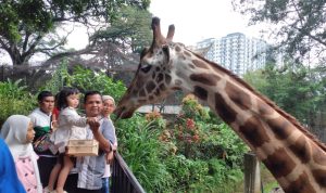 Bandung Zoo Dipadati Ribuan Pengunjung selama Libur Lebaran