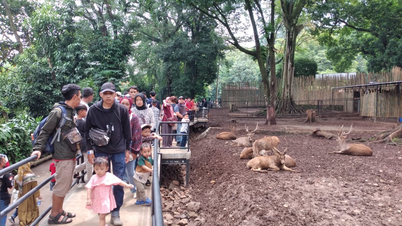 Bandung Zoo Padat Dengan Ribuan Pengunjung