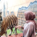 H+3 Lebaran Ribuan Pengunjung Padati Wisata Lembang Park and Zoo / Jabar Ekspres