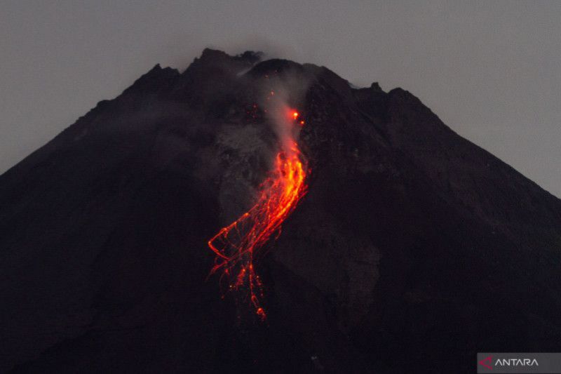 Lava pijar meluncur dari kubah lava Gunung Merapi terlihat Srumbung, Magelang, Jawa Tengah, Minggu (2/4/2023). Menurut data BPPTKG periode pengamatan 1 April 2023 pukul 00.00-24.00 WIB telah terjadi 12 kali guguran lava pijar dengan jarak luncur maksimal 1.500 meter ke arah barat daya (kali Bebeng). ANTARA FOTO/Hendra Nurdiyansyah/foc.