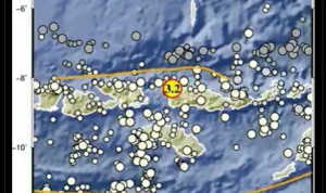 Info Gempa Terkini M 3,2 di NTT Hari Ini 25 April 2023