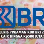 Setidaknya ada 3 jenis pinjaman KUR BRI 2023 yang bisa cair hingga Rp500 juta hanya modal KTP dan KK untuk para pengusaha UMKM.