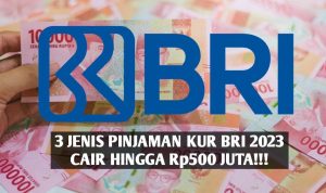Setidaknya ada 3 jenis pinjaman KUR BRI 2023 yang bisa cair hingga Rp500 juta hanya modal KTP dan KK untuk para pengusaha UMKM.
