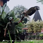 Harga Tiket Lembang Park & Zoo/ Foto: Instagram (@lembang_parkzoo)