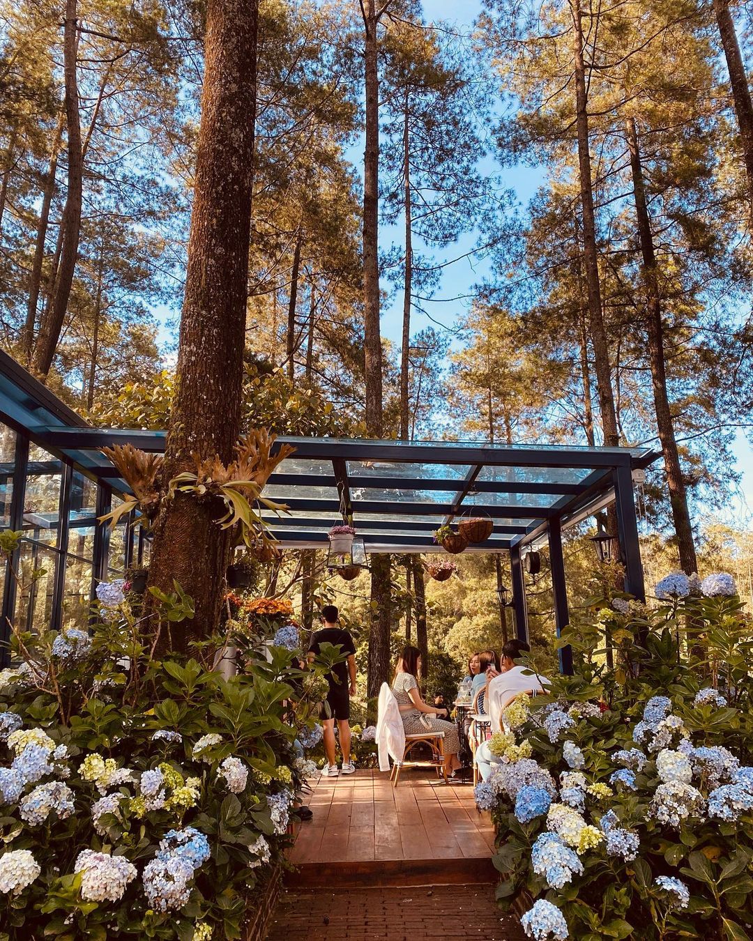 3 Rekomendasi Tempat Wisata di Bandung yang Cocok untuk Libur Lebaran 2023/Foto: Instagram (@orchidforestcikole)
