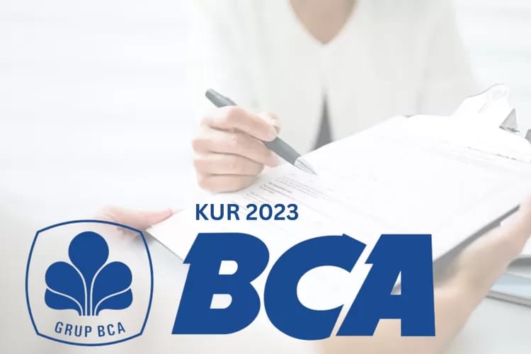 Pinjam Rp500 Jt! Berikut Syarat Pengajuan KUR BCA 2023