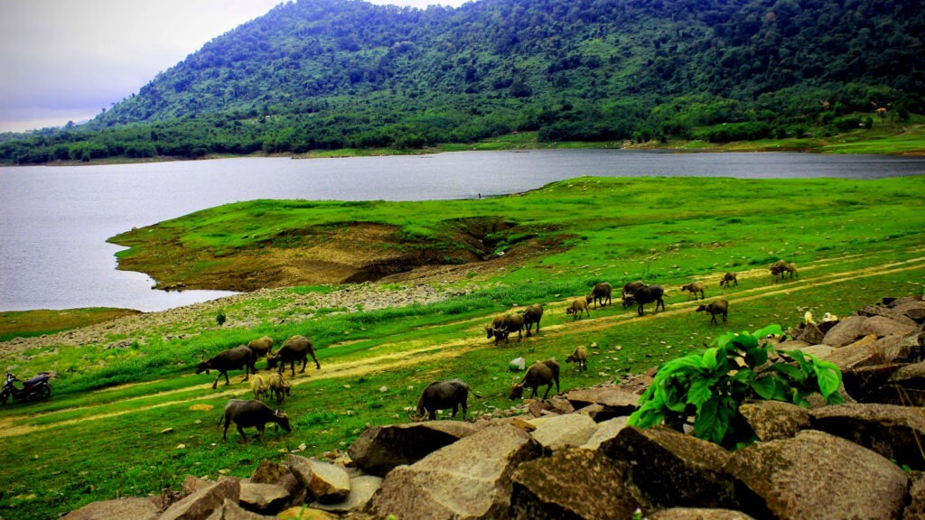 Rekomendasi Pantai di Garut Selain Santolo dan Ranca Buaya (sumber gambar: visitgarut.garutkab.go.id)