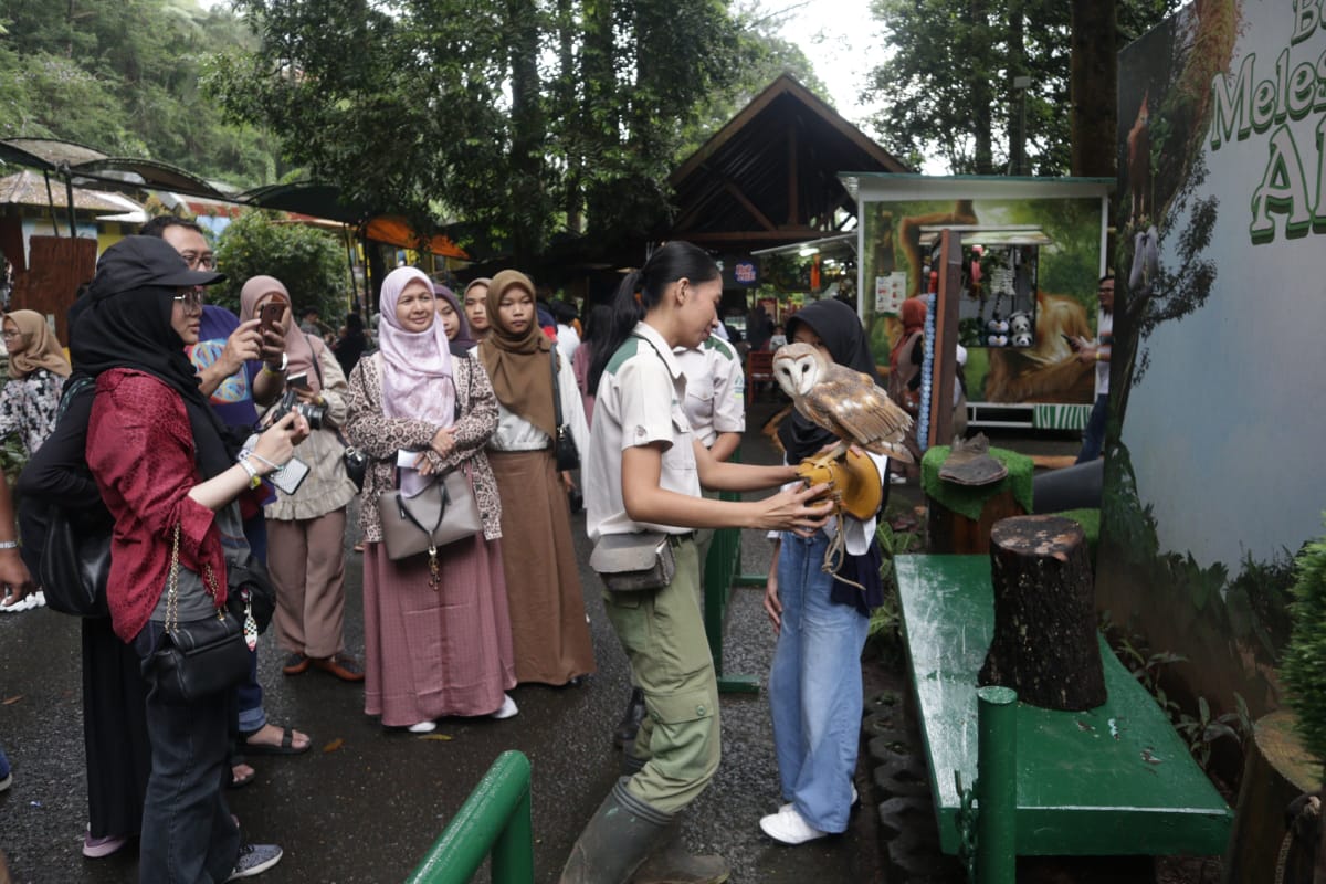 44 Ribu Wisatawan Kunjungi Taman Safari Bogor / Sandika Fadilah jabar Ekspres