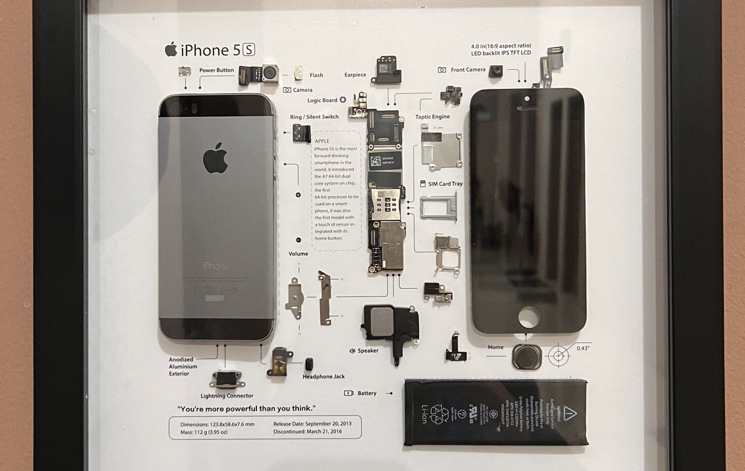 iPhone 5s Kembali Viral, Bisa Pakai IOS Baru, Berapa Harganya Sekarang?