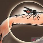 Ilustrasi, Aktivitas penambangan bijih timah rakyat marak sebagai pemicu kasus malaria 2022 mencapai 123 orang atau meningkat dibandingkan tahun sebelumnya 104 kasus. (Antara)
