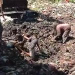 Tangkapan layar video TikTok, puluhan warga berngkalis yang rebutan dan menggali daging kerbau di TPA. (tiktok)