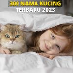 300 Nama Kucing Lucu, Bagus, dan Elegan Terbaru 2023