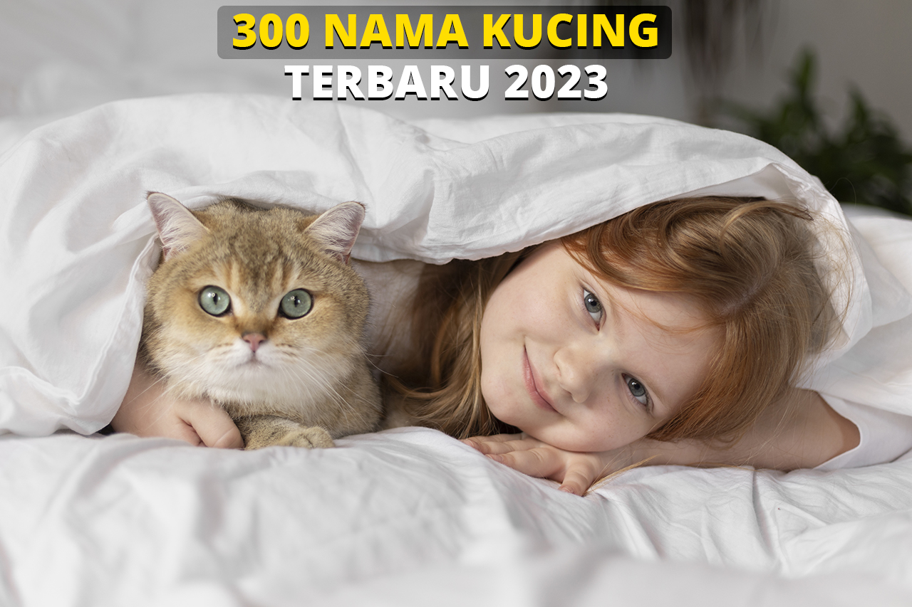 300 Nama Kucing Lucu, Bagus, dan Elegan Terbaru 2023