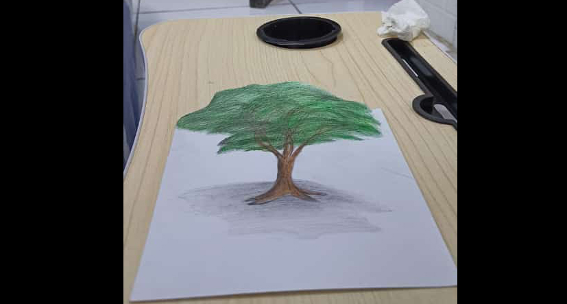 Cara Menggambar Pohon 2D dan 3D dengan Pensil Warna