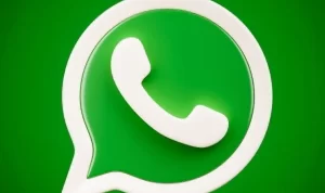 Cara Mengembalikan Kontak Whatsapp yang Hilang, Gampang Banget Loh!