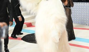 Heboh! Jared Leto Mencuri Perhatian Cosplay Jadi Kucing di Met Gala 2023