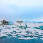 Rantai Makanan di Antartika: Menjelajahi Kehidupan yang Menakjubkan di Kutub Selatan