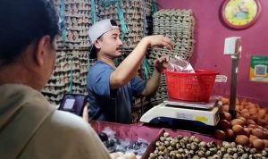 Terus Merangkak Naik, Harga Telur Ayam di Kota Bogor Tembus di Rp32 Ribu per Kilogram